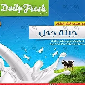 North Company For Dairy Products شركة ألشمال للألبان و لأجبان – photo 1 of 2