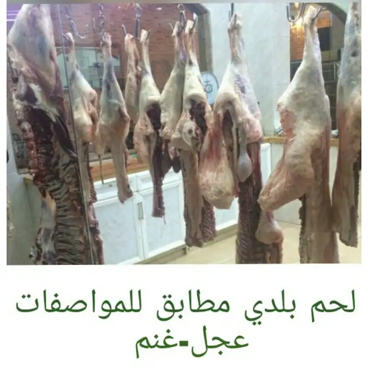 Moufid Moubayed Restaurant ملحمة ومطعم مفيد المبيض – photo 1 of 2