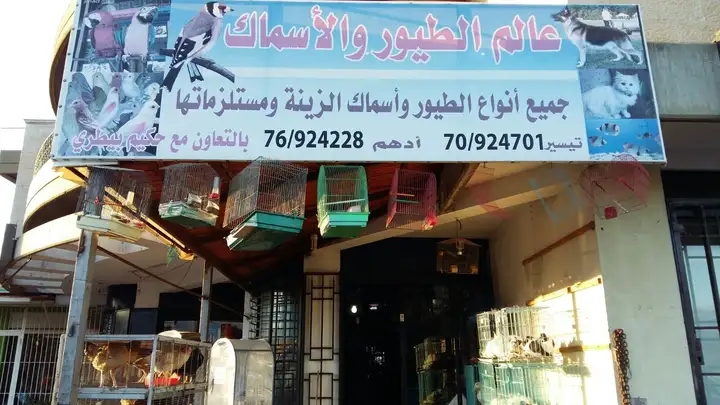 World Of Birds & Fish عالم الطيور و الأسماك – photo 1 of 1