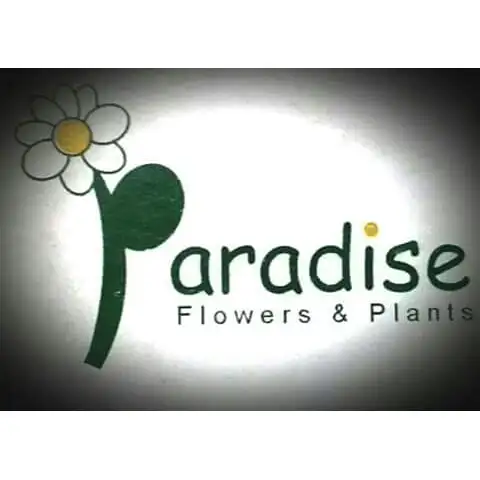 Paradise Flowers & Plants – photo 1 of 2