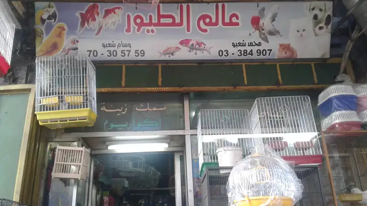 World Of Birdsعالم الطيور – photo 1 of 1